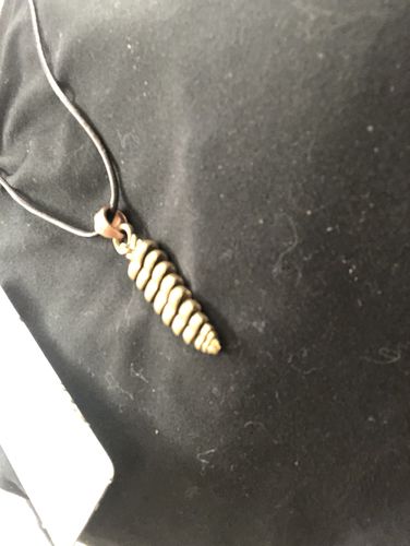 Customer photo review of Brass Rattlesnake Tail Pendant