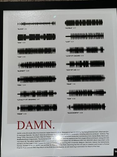 Customer photo review of "DAMN."