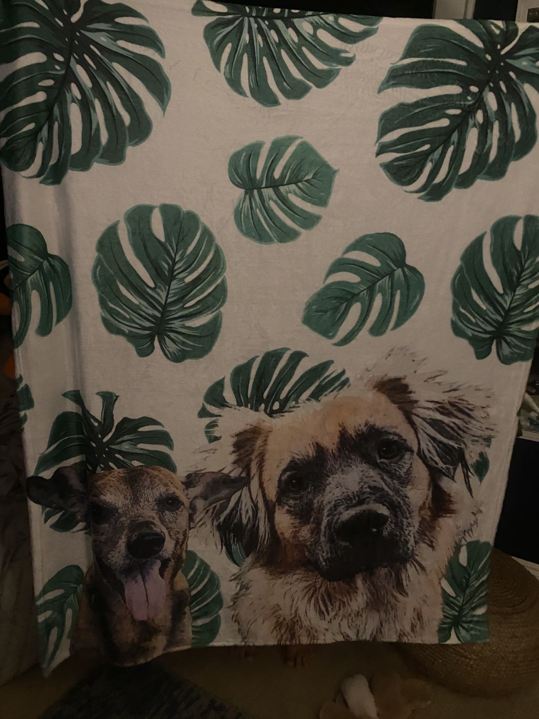 Customer photo review of Custom Pet Art Fleece Blanket