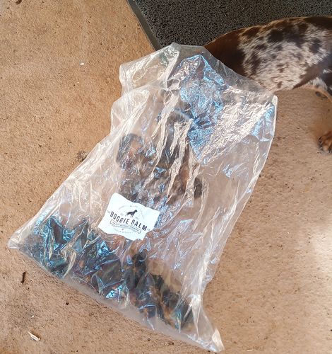 Customer photo review of Premium Kangaroo Chews