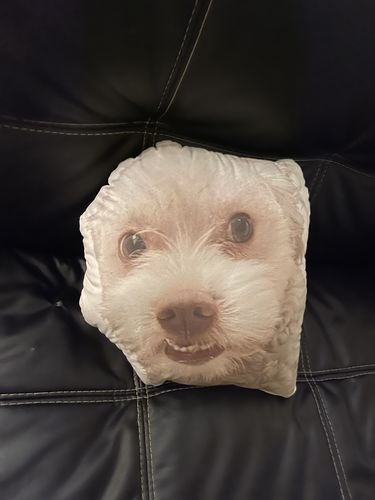 Customer photo review of Create A Custom Dog Pillow