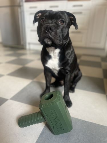 Customer photo review of The Fenrir Hammer