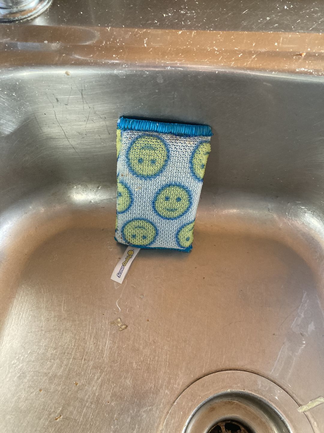 Customer photo review of Scour Daddy (3PK)