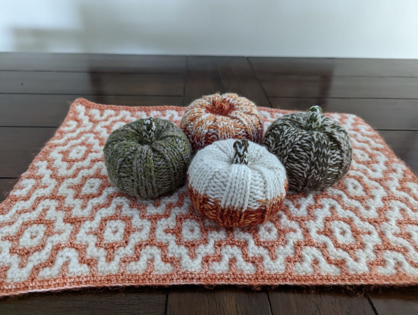 Customer photo review of Blue Sky Fibers Woolstok Bundle Kit