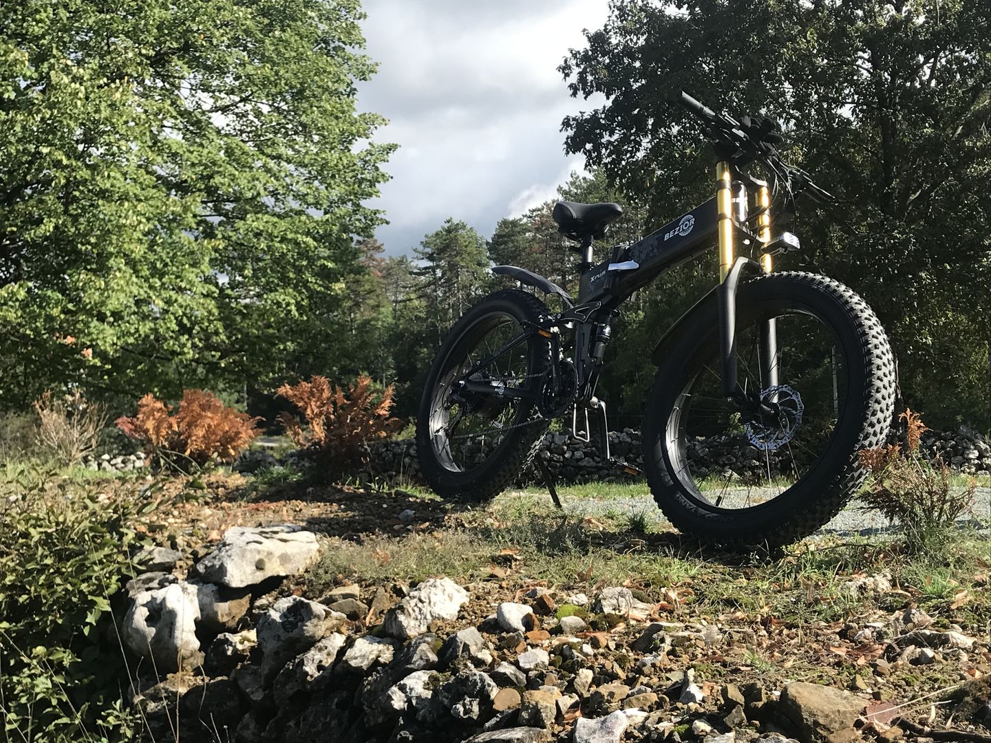 Customer photo review of Bezior X Plus Electric Mountain Folding Bike