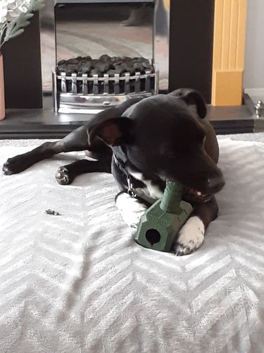 Customer photo review of The Fenrir Hammer