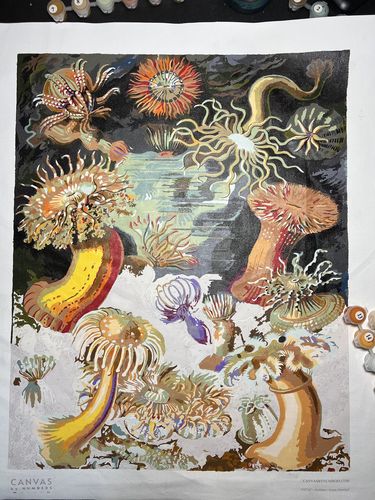 Customer photo review of Actiniae - Paint by Numbers