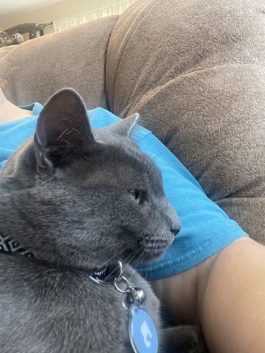 Customer photo review of Blue