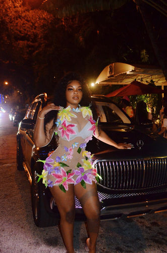 Customer photo review of Blossom Bodycon Mesh Dress 2.0