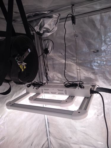 Customer photo review of FGI Square 2 220W LED Grow Light, Extended PAR 400-760nm Spectrum