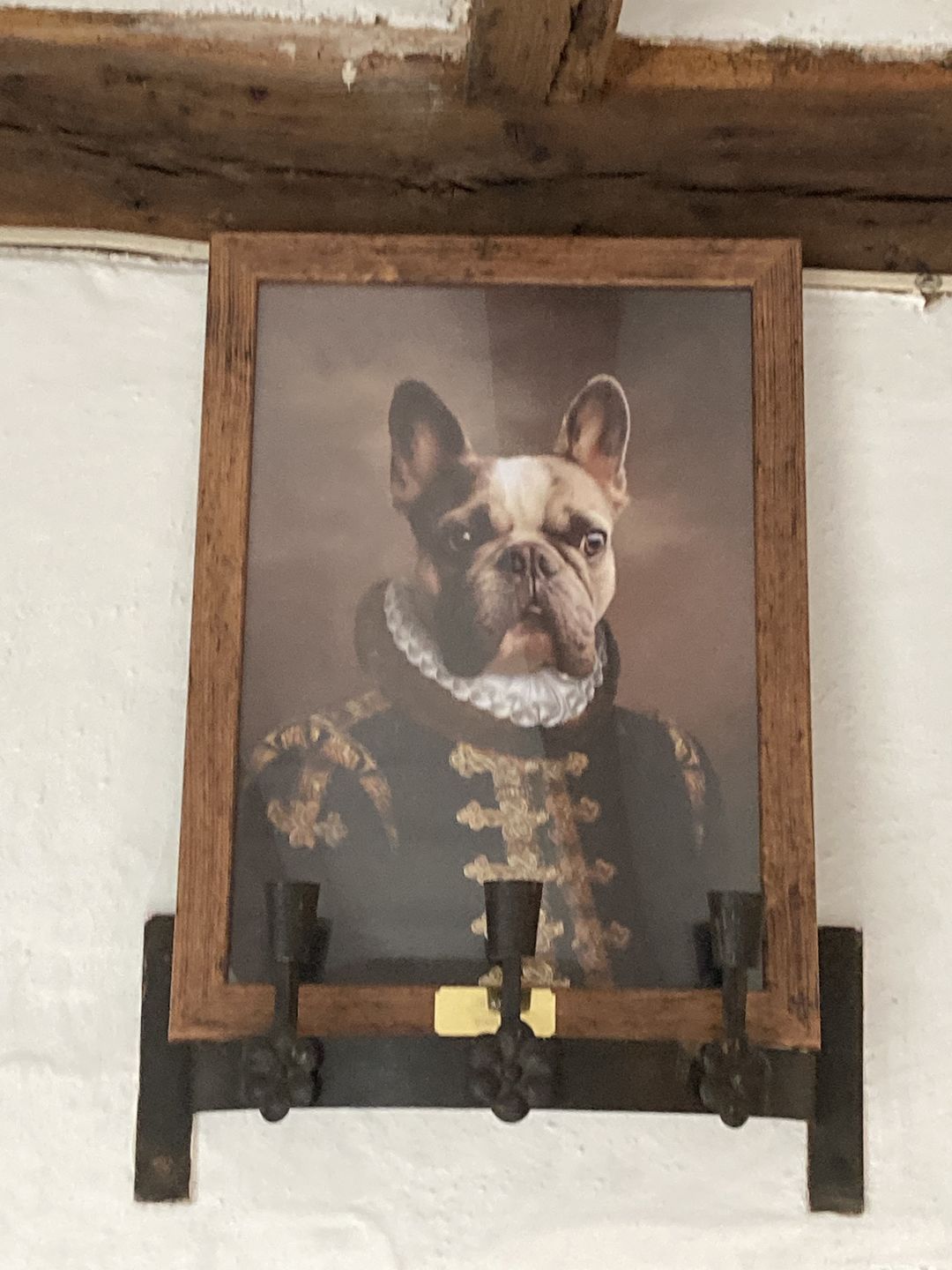 Customer photo review of The Count: Custom Pet Portrait