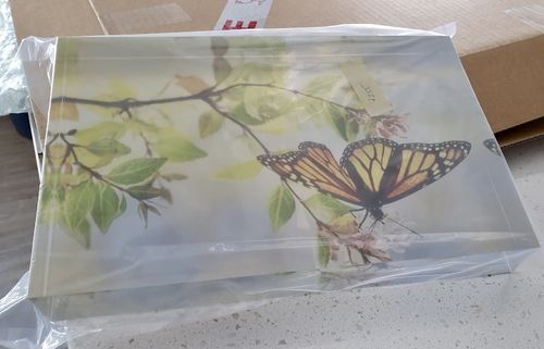 Customer photo review of 20 x 30.5 cm Free Standing Acrylic Photo Block