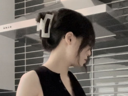 Customer photo review of Large Aurora Claw Clip