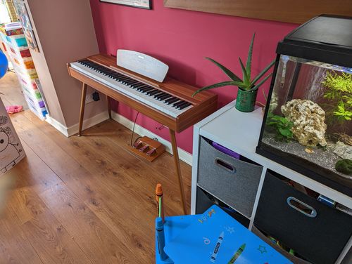 Customer photo review of Donner DDP-80 Wooden Style 88 Key Weighted Digital Piano with Stand & 3 Pedal