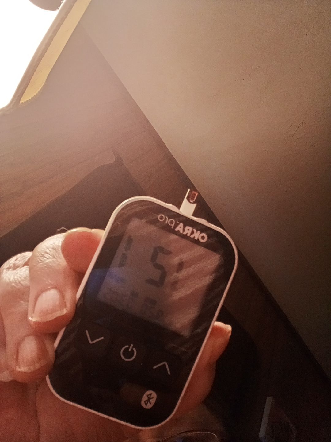 Customer photo review of OKRA Pro: Bluetooth Glucose Meter