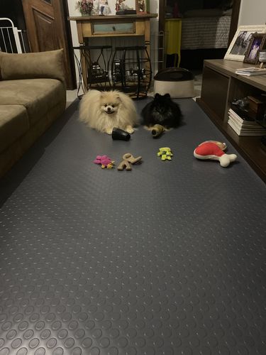 Customer photo review of Tapete Moeda