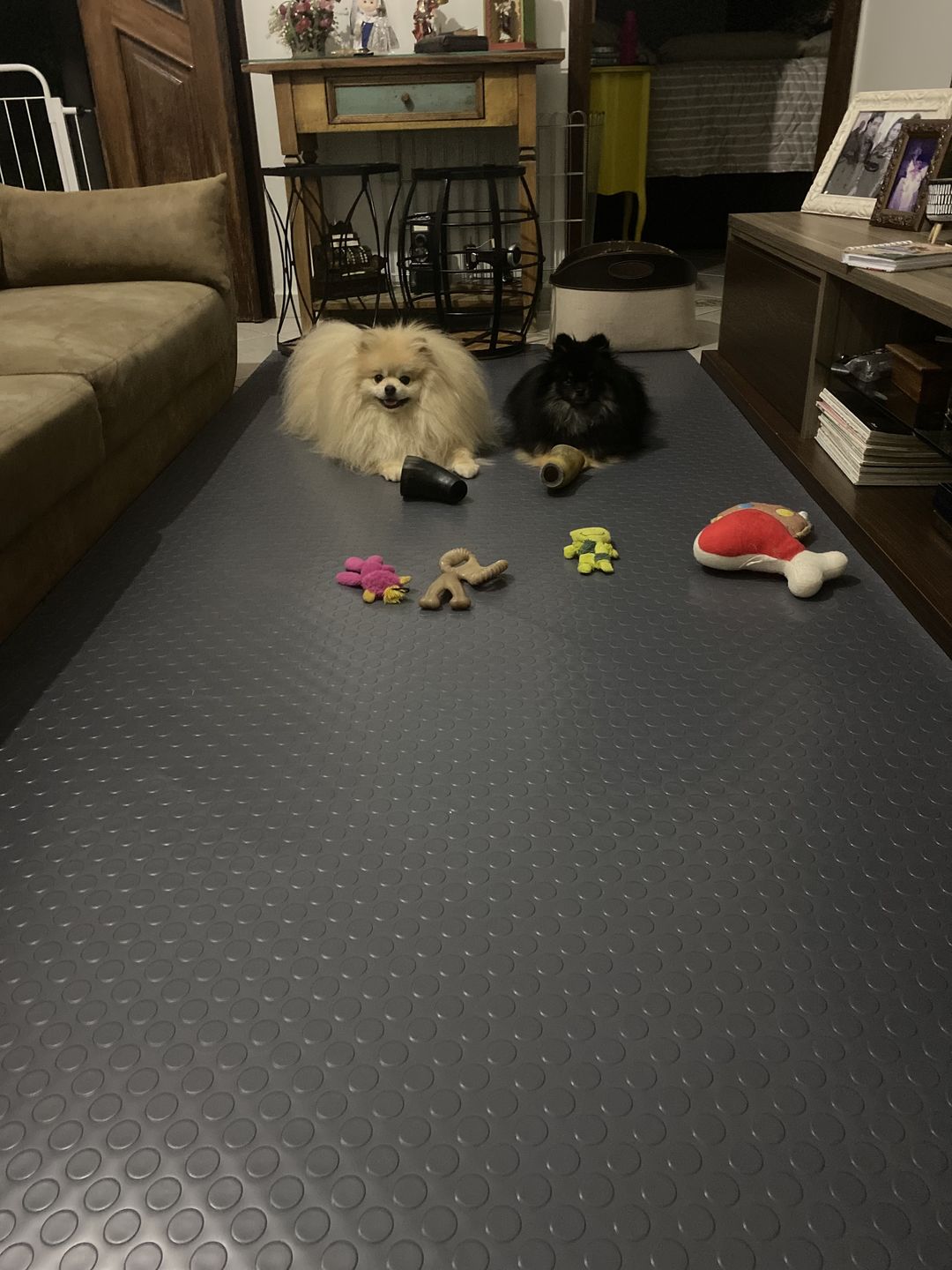 Customer photo review of Tapete Moeda