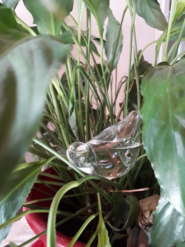 Customer photo review of Mon petit oiseau - Le Jardin de Mamie®