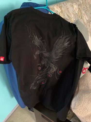 Customer photo review of Phoenix Embroidered Sukajan T-shirt