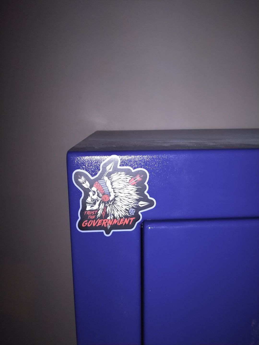 Customer photo review of Trust the Government Decal