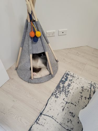 Customer photo review of Felt Warm Wool Cat Nest Tent House