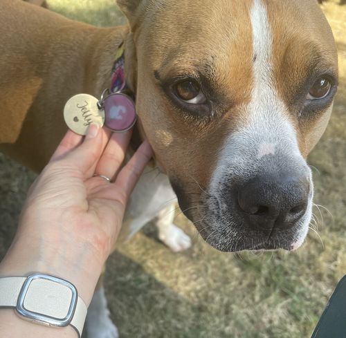 Customer photo review of Teal