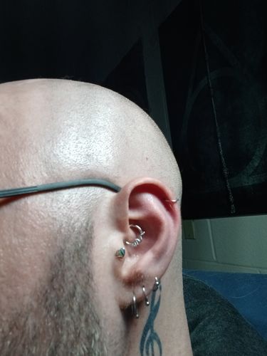 Customer photo review of Snake Hinged Segment Ring