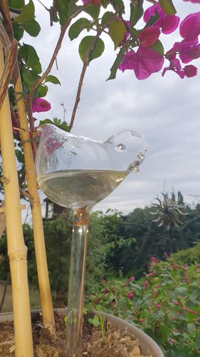 Customer photo review of Mon petit oiseau - Le Jardin de Mamie®