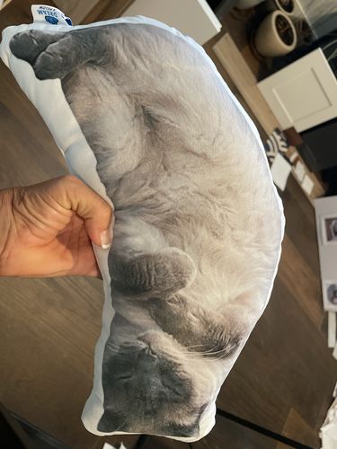 Customer photo review of Create A Custom Cat Pillow