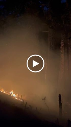 Customer video review of NOVA P50 High Intensity Survival Flashlight