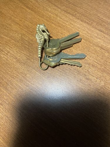 Customer photo review of Brass Seahorse Pin Keychain