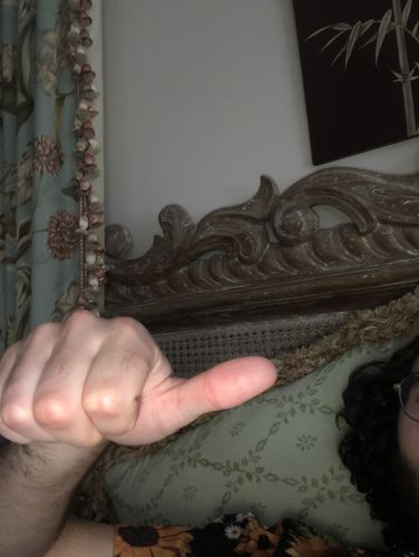 Customer photo review of Felt Dice Tray Moth and Moon Phase Motif Dice Tray