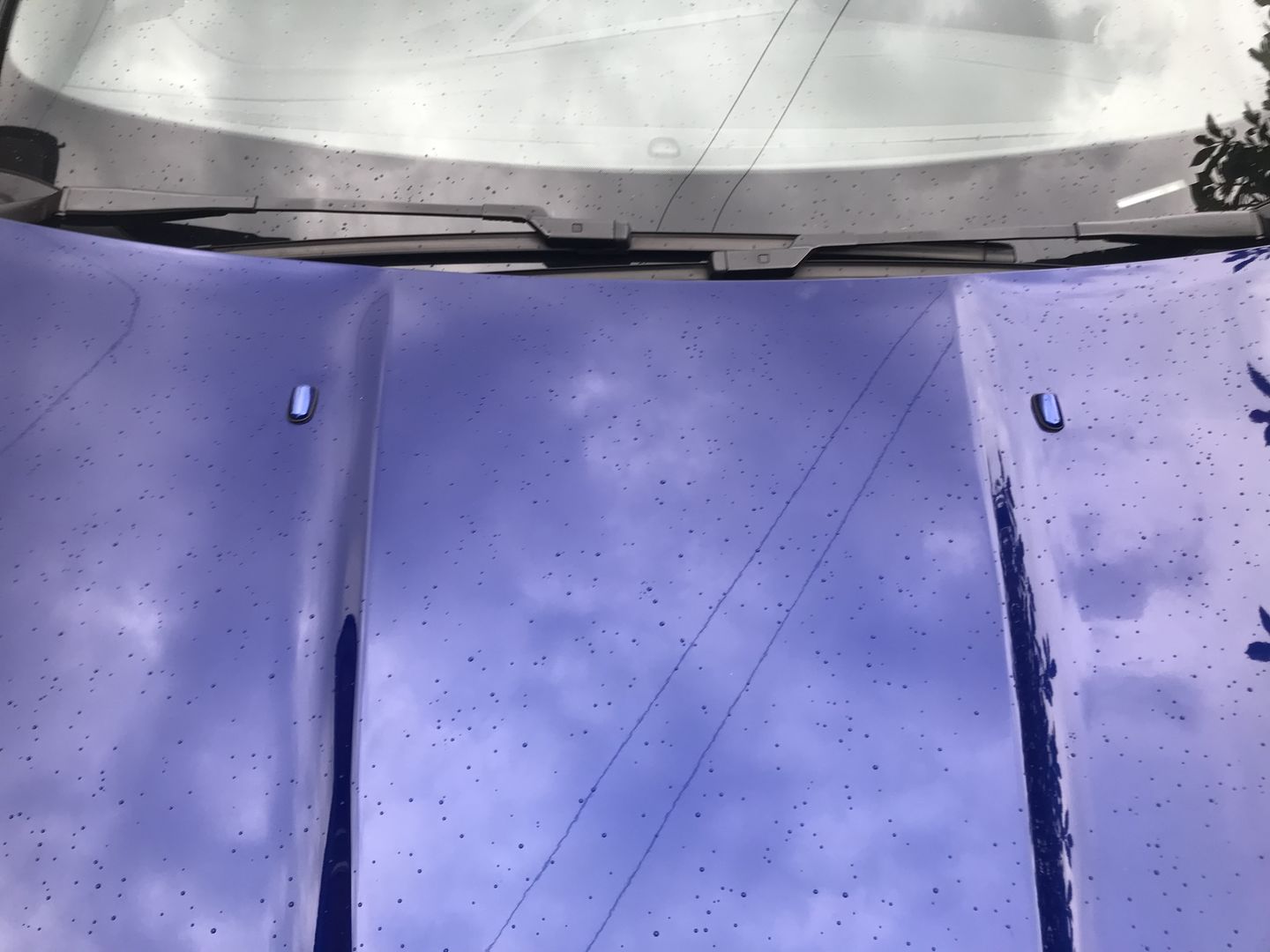 Customer photo review of Ford 'Mist' Washer Jets (Heated)