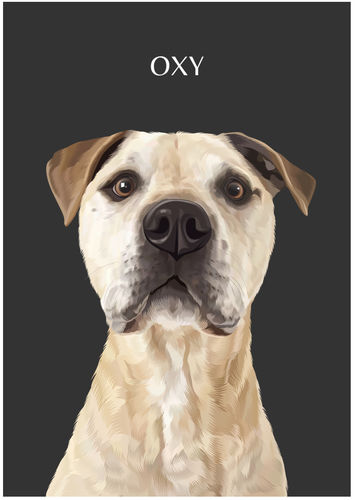 Customer photo review of One-Pet Portrait