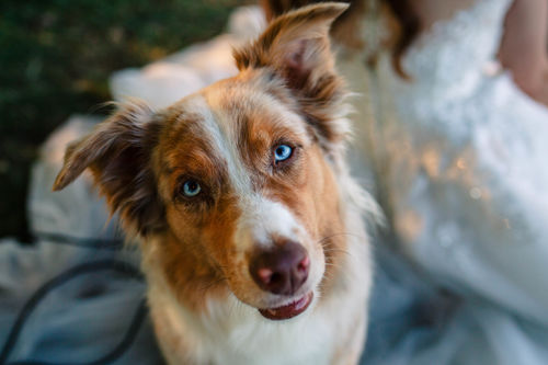 Customer photo review of DAILY BRIGHT LIGHTROOM PRESETS