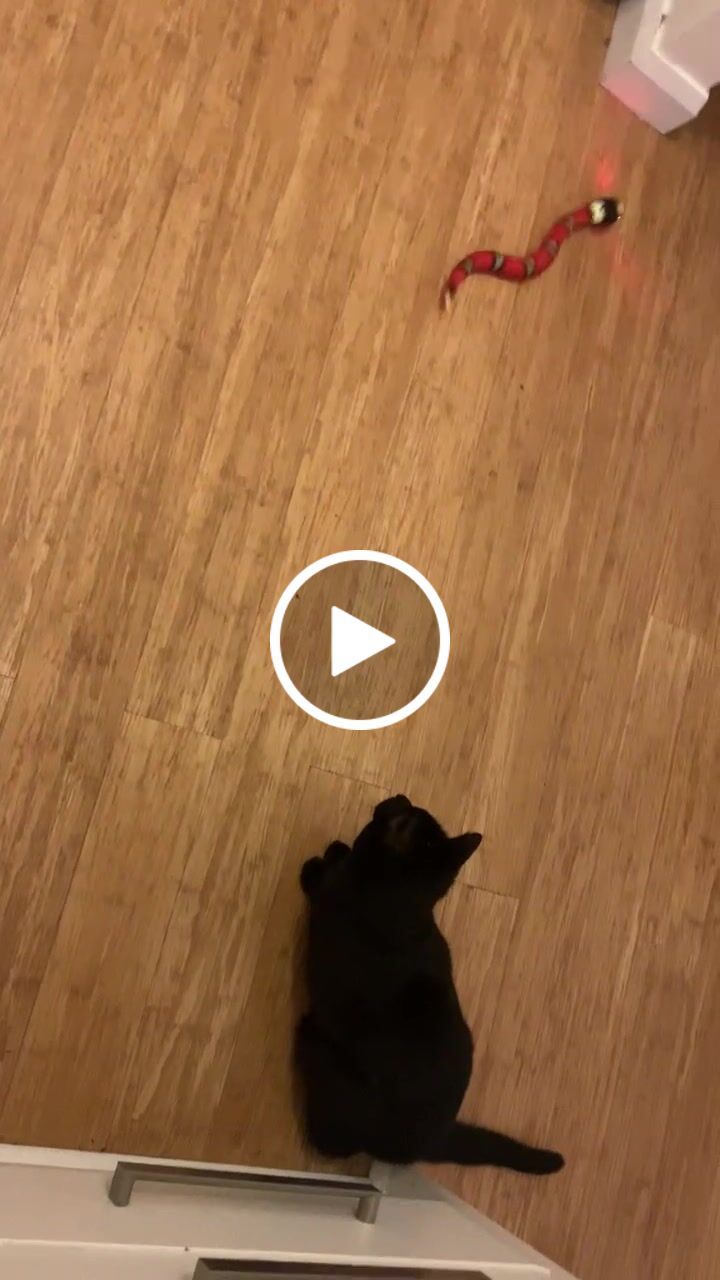 Customer video review of Smart Sensing Snake