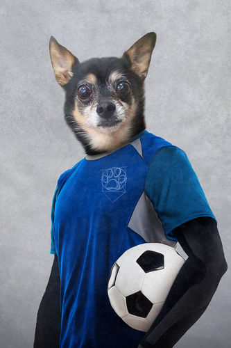 Customer photo review of 'The Soccer Player' Personalized Pet Standing Canvas