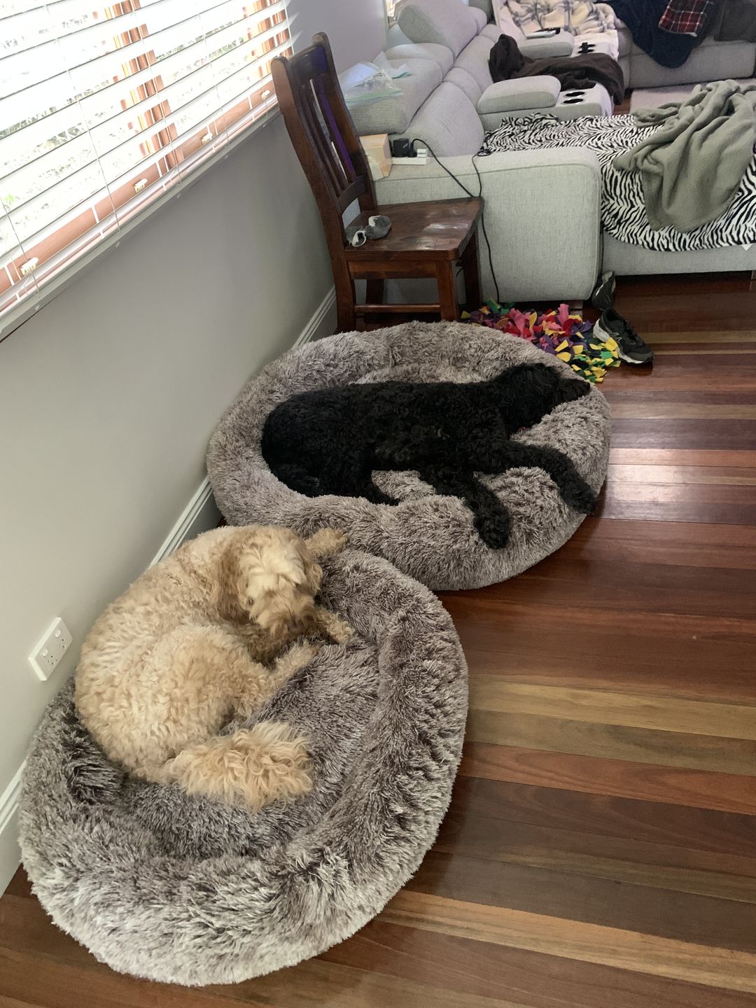 Customer photo review of Calming Dog Bed