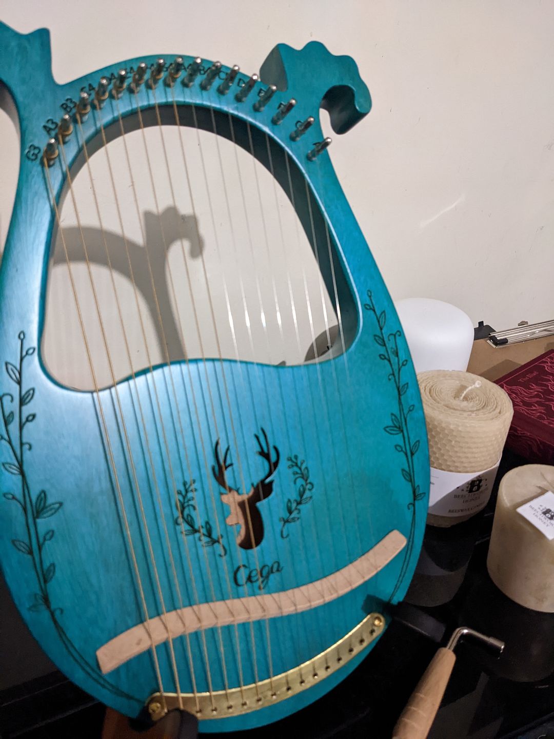 Customer photo review of NARA LYRE 16 String Mahogany w/Bag