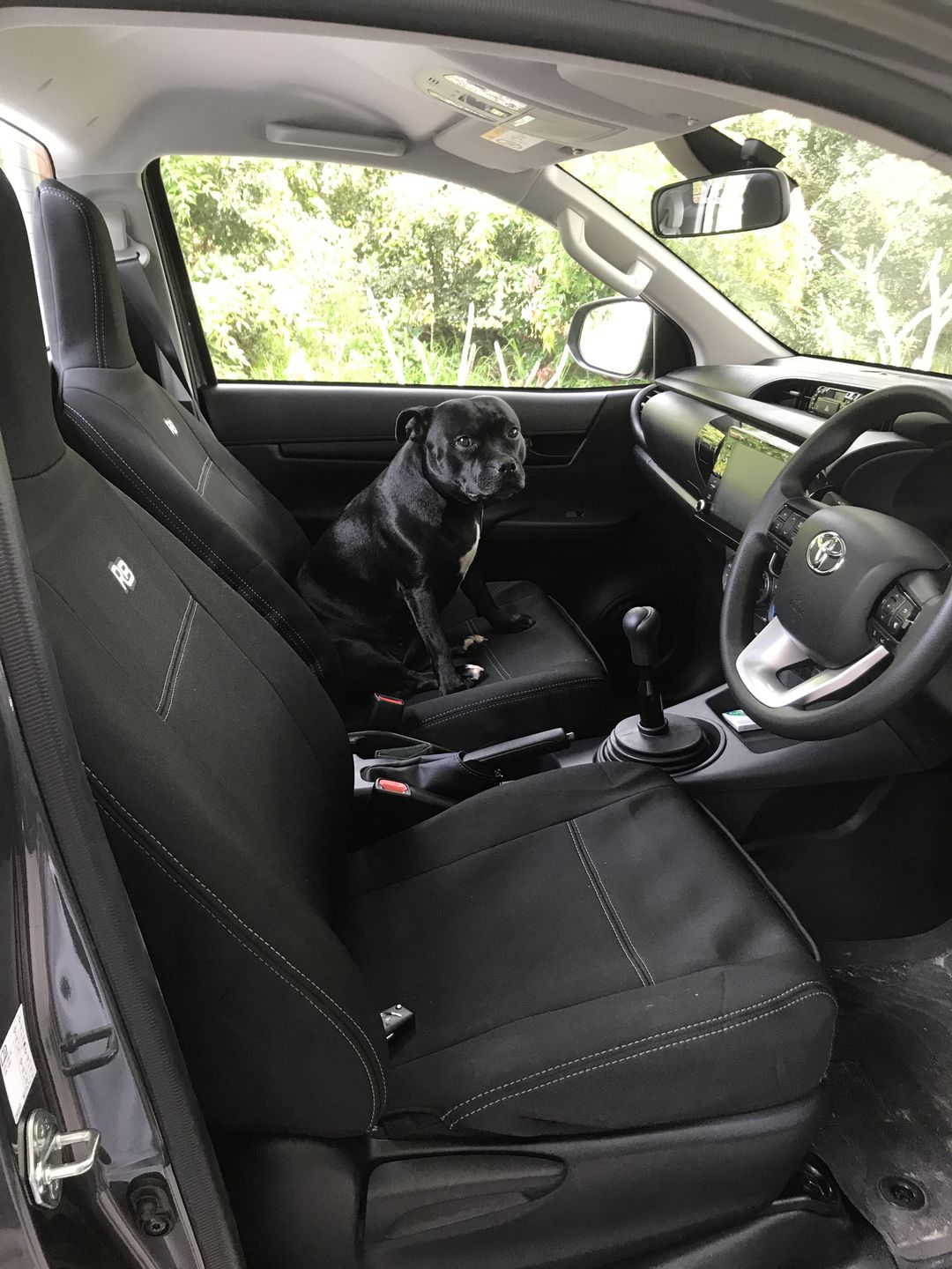 Customer photo review of Toyota HiLux 8th Gen 2x Integrated Headrest Neoprene Front Row Seat Covers (Available)