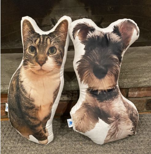 Customer photo review of Create A Custom Cat Pillow