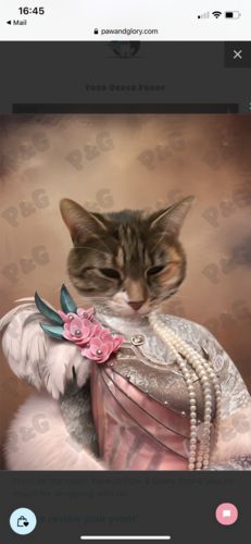 Customer photo review of The Fur Lady: Custom Pet Portrait