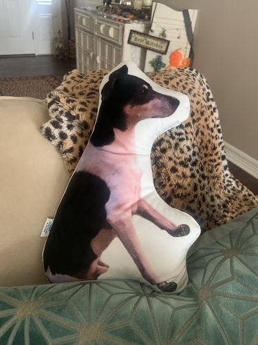 Customer photo review of Create A Custom Dog Pillow