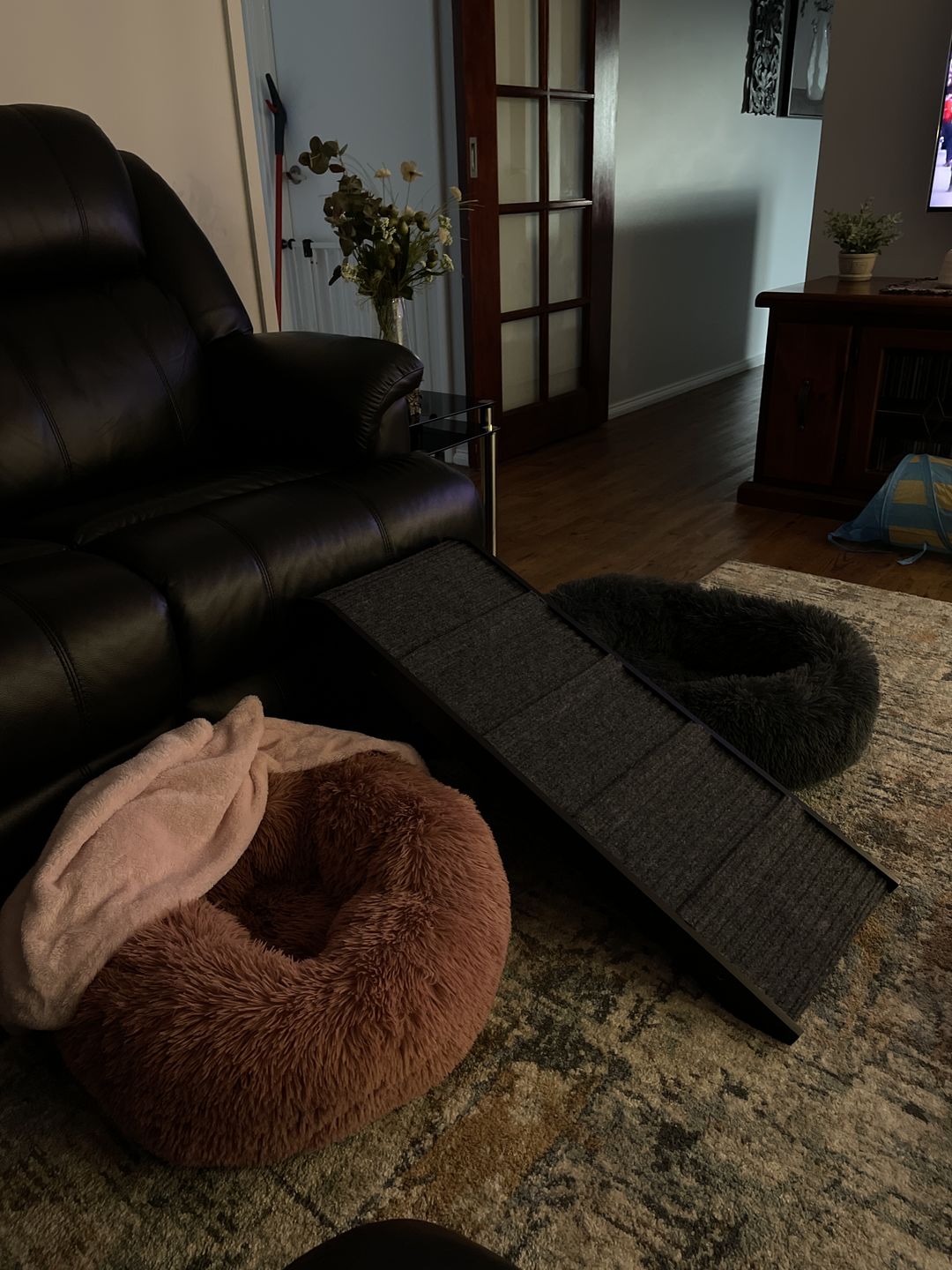 Customer photo review of PaWz Adjustable Dog Ramp