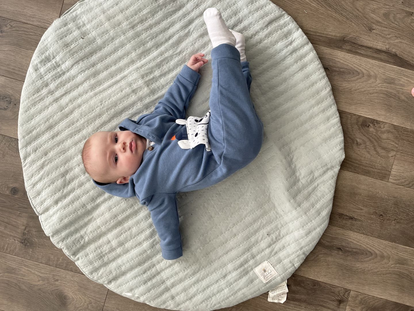 Customer photo review of Crisp White Socks