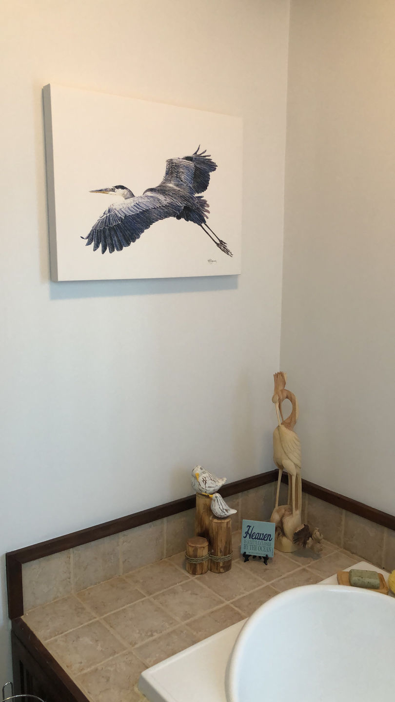 Customer photo review of Great Blue Heron - illustration