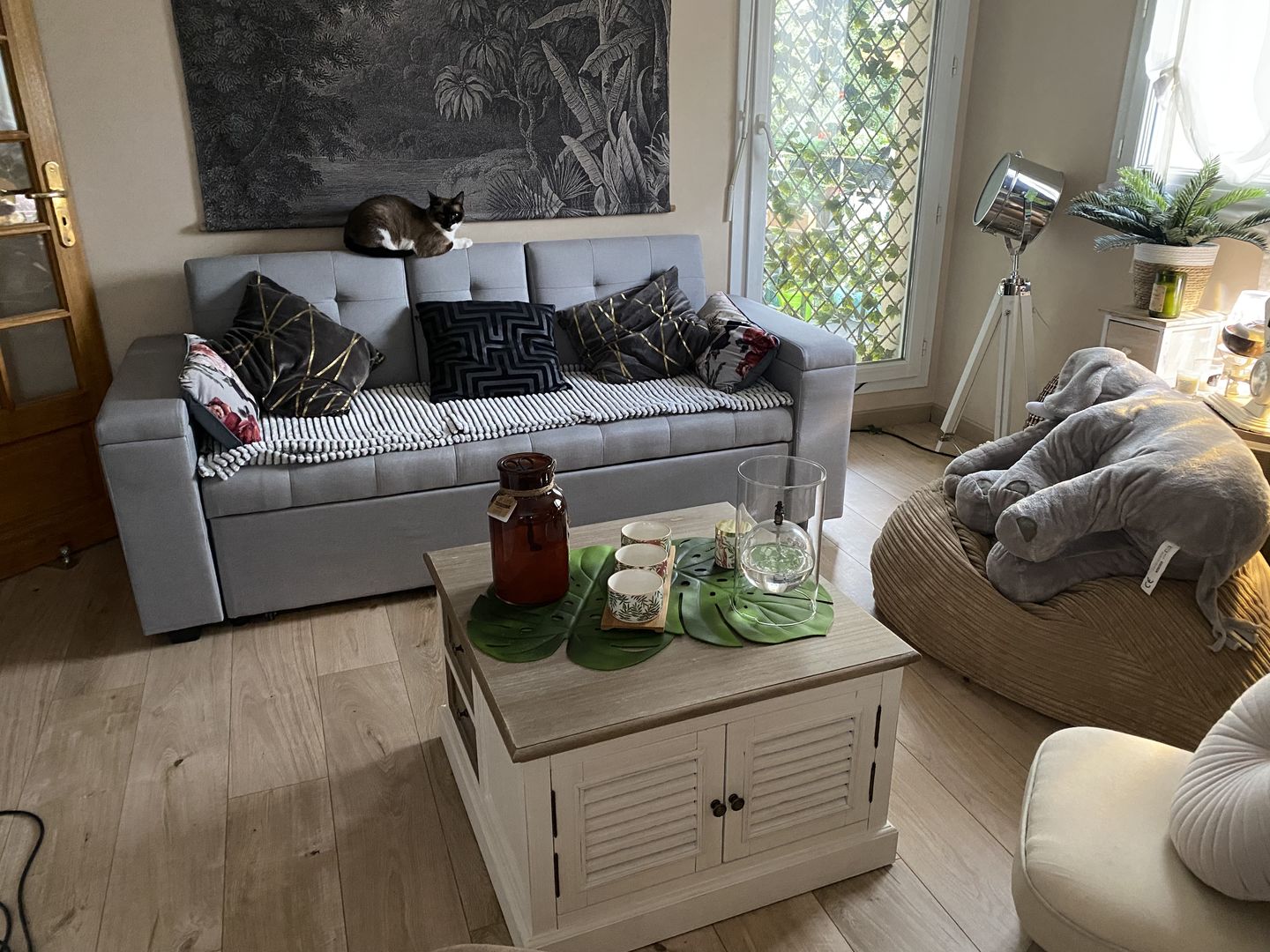 Customer photo review of NOHO