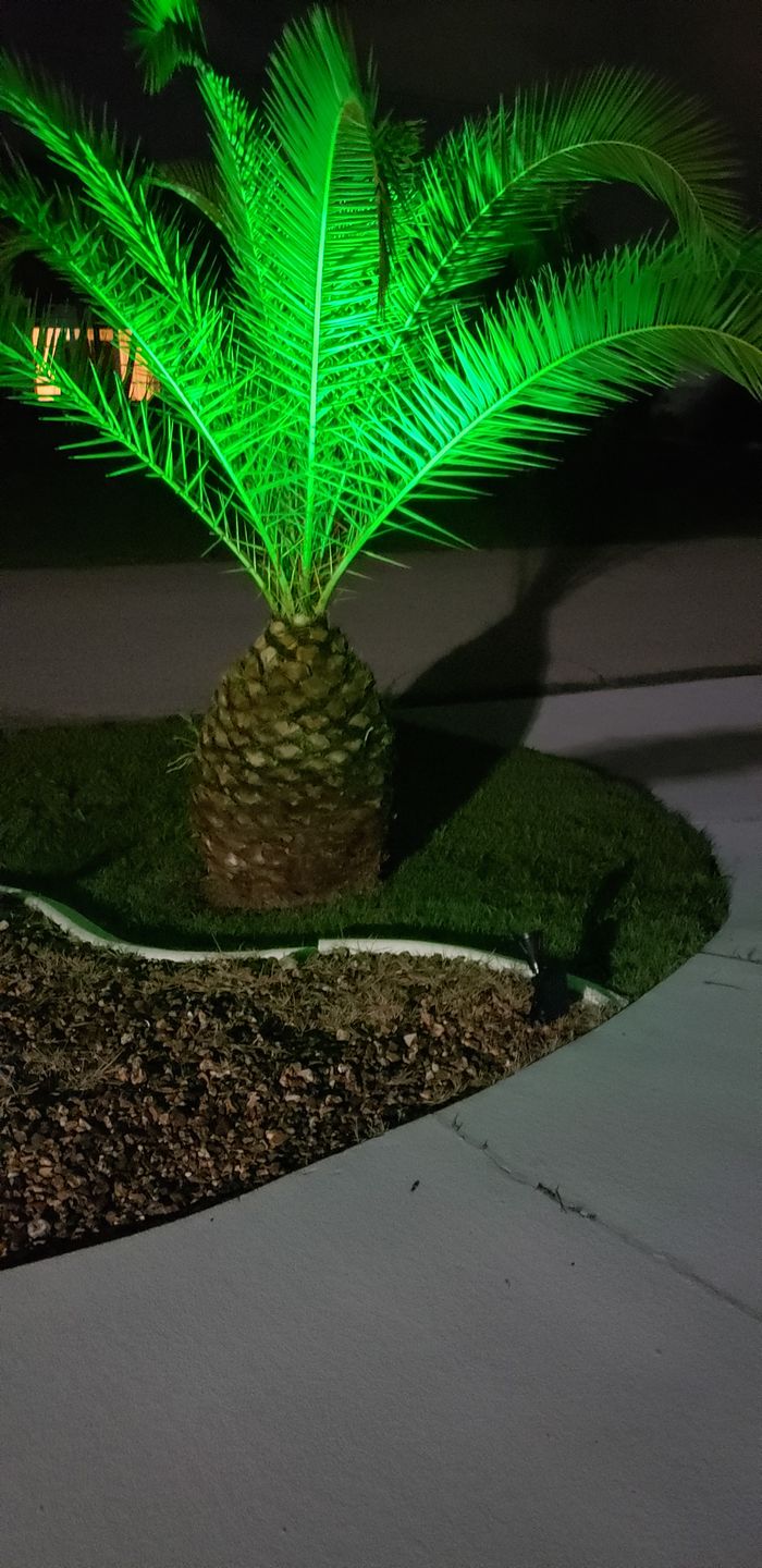 Customer photo review of TSUN 4/7 LEDs Outdoor Solar Spot Lights
