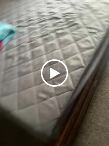 Customer video review of The Flo Mattress Ergo