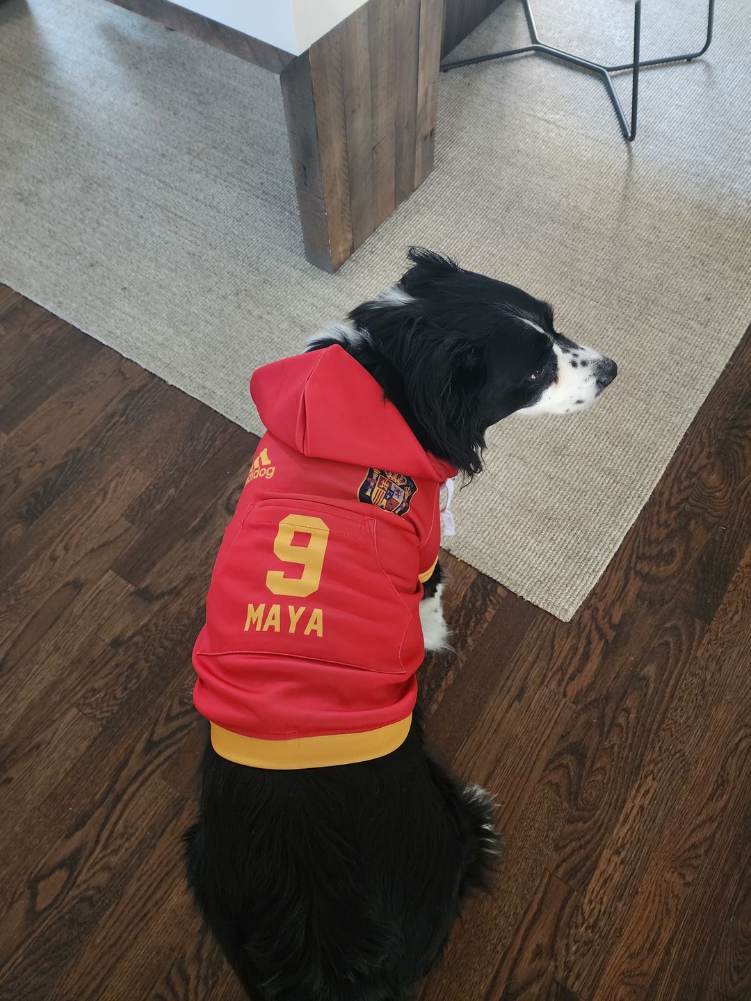Customer photo review of Spain Dog Hoodie